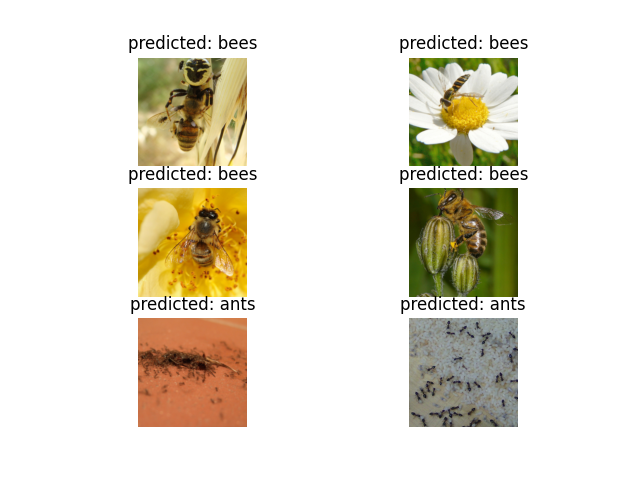 predicted: bees, predicted: bees, predicted: bees, predicted: bees, predicted: ants, predicted: ants
