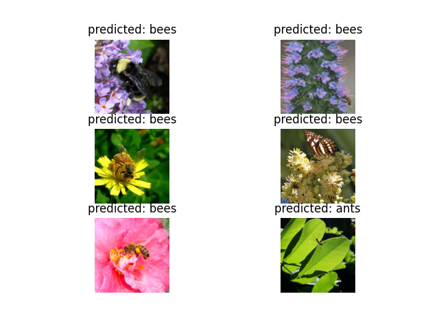 predicted: bees, predicted: bees, predicted: bees, predicted: bees, predicted: bees, predicted: ants